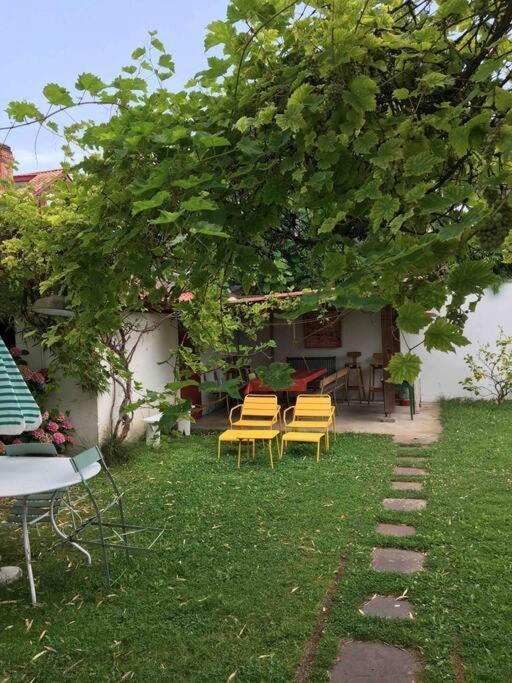 Appartement En Rez De Jardin Ciboure Exterior photo