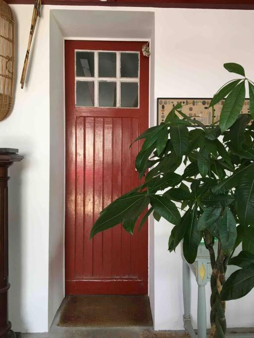 Appartement En Rez De Jardin Ciboure Exterior photo
